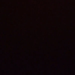 Meet your Posher, Gary moore